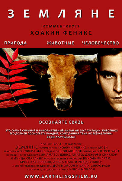 410 X 608 179.5 Kb Сыроедение