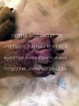 720 X 960 162.8 Kb 960 X 638 324.2 Kb Пенсионный фонд им.Миши Овчаркина