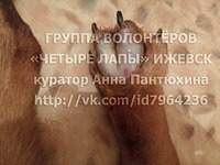 960 X 720 249.6 Kb 720 X 960 162.8 Kb 960 X 638 324.2 Kb Пенсионный фонд им.Миши Овчаркина