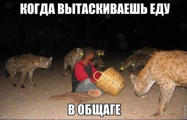 604 x 389 Улыбнемся?