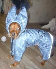 1476 X 1817 204.0 Kb      !