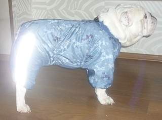 1920 X 1424 521.1 Kb 1476 X 1817 204.0 Kb      !