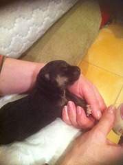 1920 X 2570 506.0 Kb � � ��� ������� ���������! ������� ���������� ���!