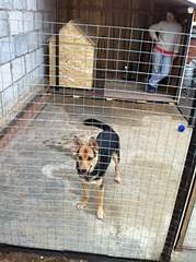 1920 X 2570 540.7 Kb � � ��� ������� ���������! ������� ���������� ���!