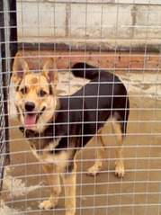 1280 X 1707 378.4 Kb � � ��� ������� ���������! ������� ���������� ���!