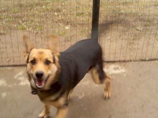 1707 X 1280 356.5 Kb 1280 X 1707 378.4 Kb � � ��� ������� ���������! ������� ���������� ���!