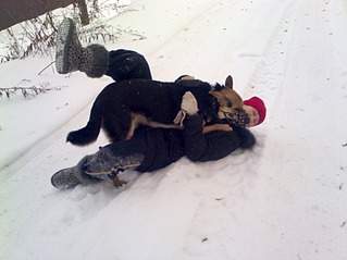 1707 X 1280 339.3 Kb 1707 X 1280 356.5 Kb 1280 X 1707 378.4 Kb � � ��� ������� ���������! ������� ���������� ���!