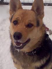 1280 X 1707 301.5 Kb 1707 X 1280 312.7 Kb 1707 X 1280 339.3 Kb 1707 X 1280 356.5 Kb 1280 X 1707 378.4 Kb � � ��� ������� ���������! ������� ���������� ���!