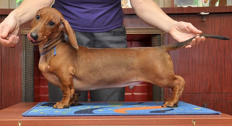 1920 X 1048 843.4 Kb 1920 X 940 933.4 Kb     