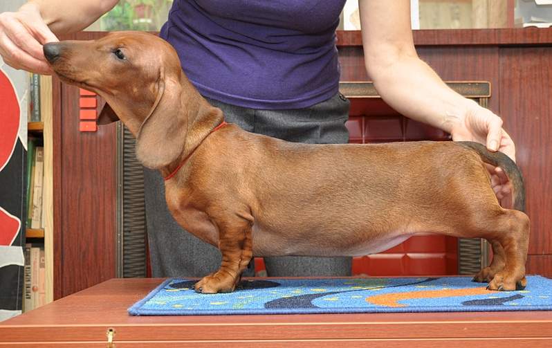 1920 X 1209 976.9 Kb     