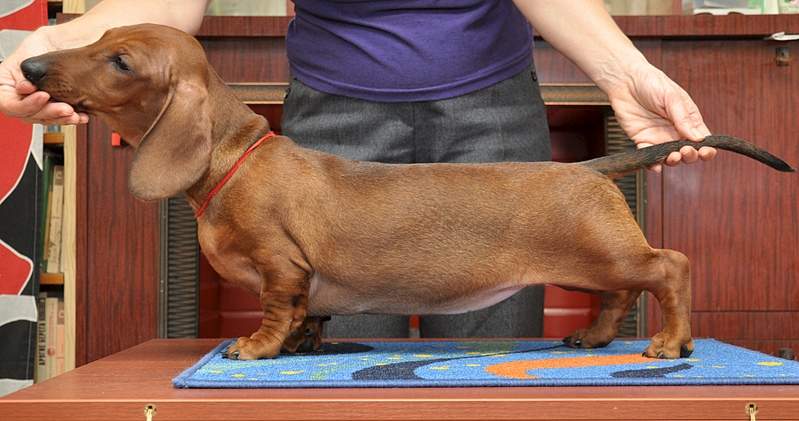 1920 X 1011 855.7 Kb 1920 X 1209 976.9 Kb     