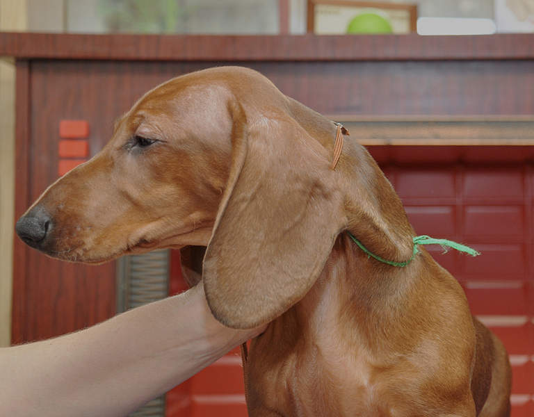 1920 X 1500 201.7 Kb 1920 X 1011 855.7 Kb 1920 X 1209 976.9 Kb     