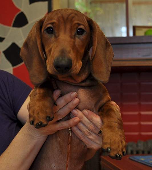 1767 X 1986 206.9 Kb 1920 X 1500 201.7 Kb 1920 X 1011 855.7 Kb 1920 X 1209 976.9 Kb     