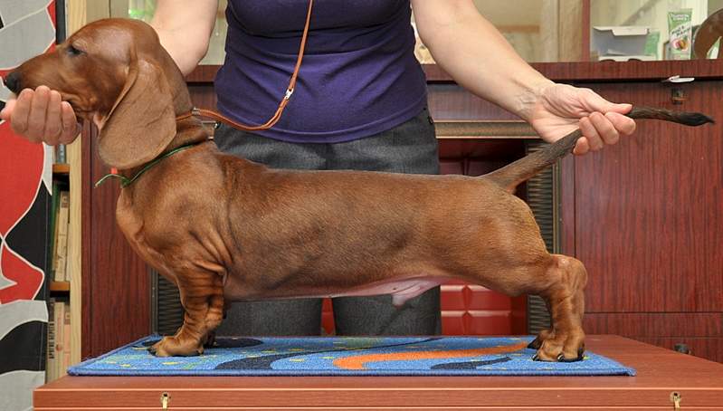 1920 X 1090 918.8 Kb 1767 X 1986 206.9 Kb 1920 X 1500 201.7 Kb 1920 X 1011 855.7 Kb 1920 X 1209 976.9 Kb     