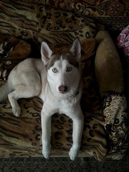 1920 X 2560 324.7 Kb   