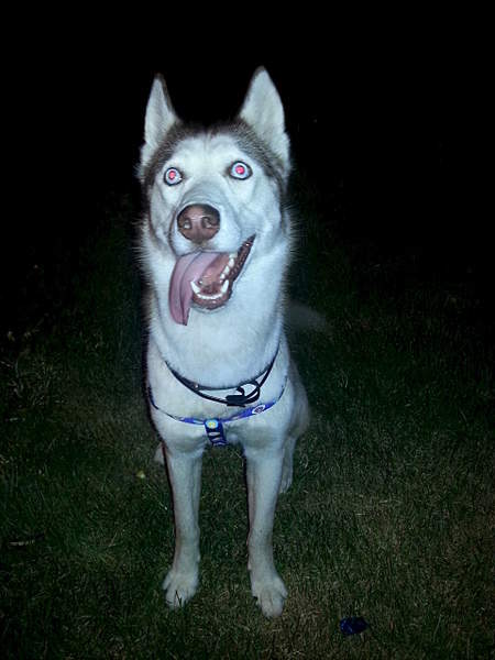 1920 X 2560 301.9 Kb 1920 X 1440 800.8 Kb 1920 X 2560 324.7 Kb   