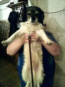 768 X 1024 169.7 Kb      -