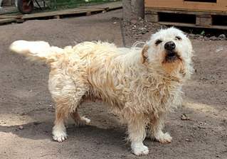 800 X 561 123.0 Kb      -