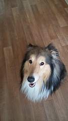 1836 X 3264 908.3 Kb     