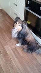 1836 X 3264 443.8 Kb 1836 X 3264 908.3 Kb     