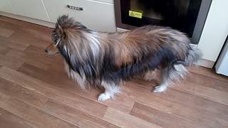 1920 X 1080 703.6 Kb 1836 X 3264 443.8 Kb 1836 X 3264 908.3 Kb     