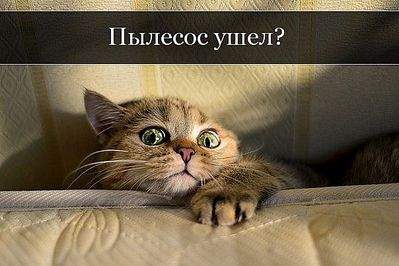 604 X 403  44.1 Kb Улыбнемся?