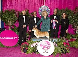 800 X 584 114.1 Kb 368 X 487 166.5 Kb ������� � �������� ������� ���-�������� ������ ������� �����!