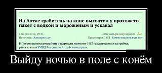 640 X 288 24.4 Kb НОВЫЙ ПОХОД ВЫХОДНОГО ДНЯ ВЕРХОМ НА ЛОШАДКАХ
