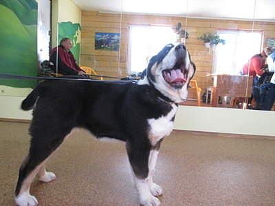 1920 X 1440 573.8 Kb 1920 X 1440 474.2 Kb 1920 X 1440 618.2 Kb    ' '