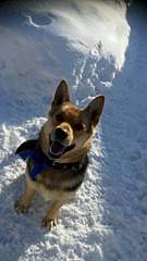 1152 X 2048 394.9 Kb � � ��� ������� ���������! ������� ���������� ���!