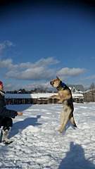 1152 X 2048 468.1 Kb 1152 X 2048 487.8 Kb 1152 X 2048 394.9 Kb � � ��� ������� ���������! ������� ���������� ���!