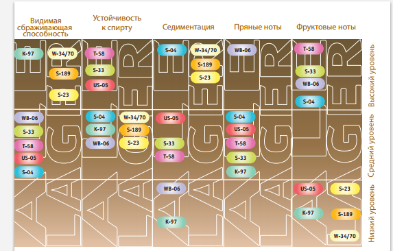 573 x 366 домашнее пиво