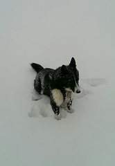 1216 X 1754 149.7 Kb 1216 X 1572 138.6 Kb    