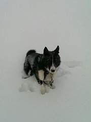 1216 X 1622 141.5 Kb 1216 X 1754 149.7 Kb 1216 X 1572 138.6 Kb    