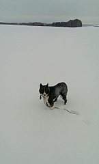 1216 X 2010 173.2 Kb 1216 X 1622 141.5 Kb 1216 X 1754 149.7 Kb 1216 X 1572 138.6 Kb    