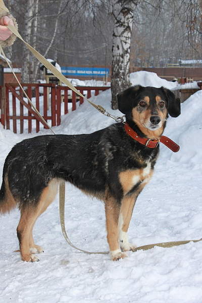 1920 X 2880 337.6 Kb      -