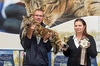 604 X 403 78.4 Kb   -  -