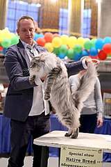 400 X 600 59.0 Kb 604 X 446 60.6 Kb 604 X 453 63.2 Kb 604 X 403 78.4 Kb   -  -