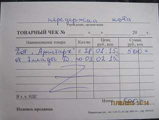 510 X 383 33.6 Kb 807 X 605 82.1 Kb Очень Нужна помощь в оплате передержки за 2 недели (долг) и поиска дома для котика