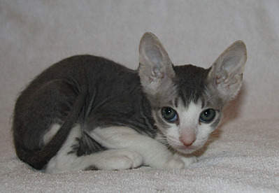 1920 X 1326 515.8 Kb    