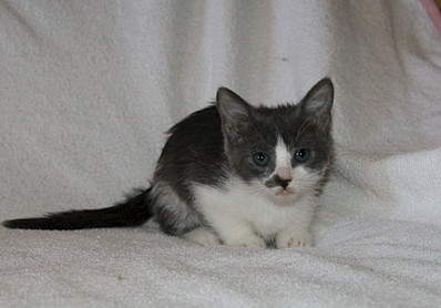 1920 X 1337 417.6 Kb    