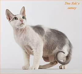 1144 X 1024 144.7 Kb    