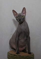 1168 X 1682 634.7 Kb 1144 X 1024 144.7 Kb    