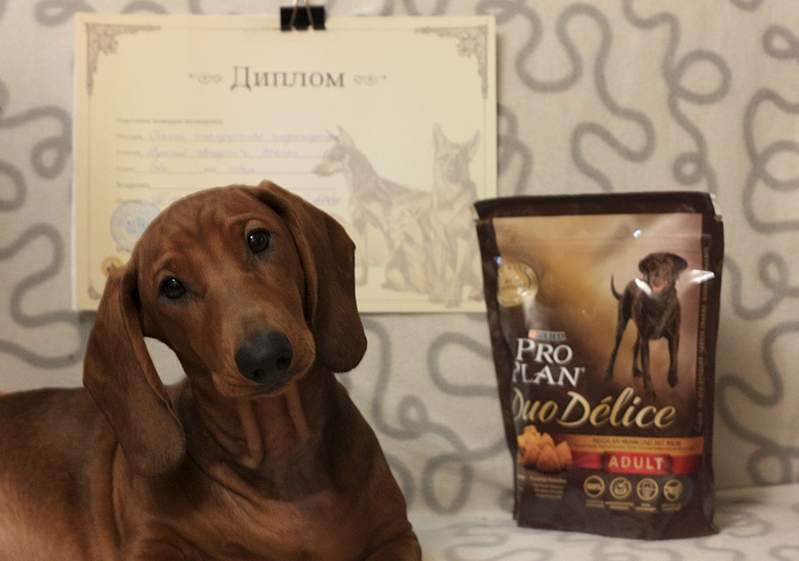 1920 X 1347 1013.5 Kb     