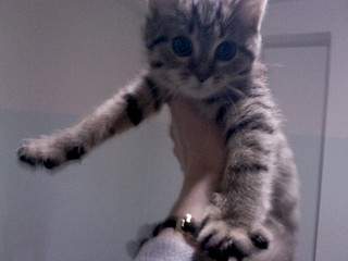 1920 X 1440 371.3 Kb  -    