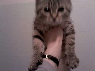 1920 X 1440 358.6 Kb 1920 X 1440 359.4 Kb 1920 X 1440 371.3 Kb  -    