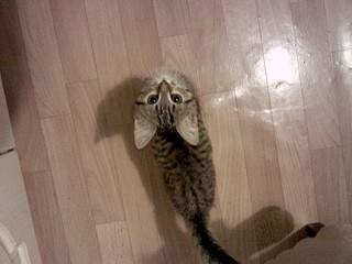 1920 X 1440 579.3 Kb 1920 X 1440 358.6 Kb 1920 X 1440 359.4 Kb 1920 X 1440 371.3 Kb  -    