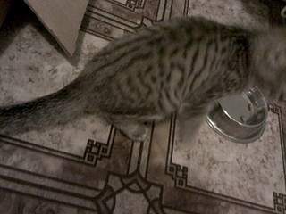 1920 X 1440 447.6 Kb  -    