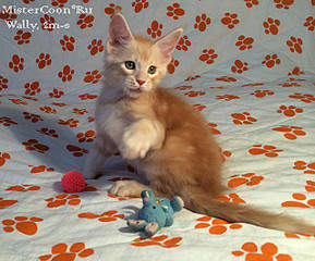 640 X 531 108.5 Kb      ' '  