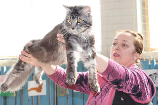 512 X 341 145.5 Kb 1920 X 2510 350.3 Kb 600 X 518 78.2 Kb     